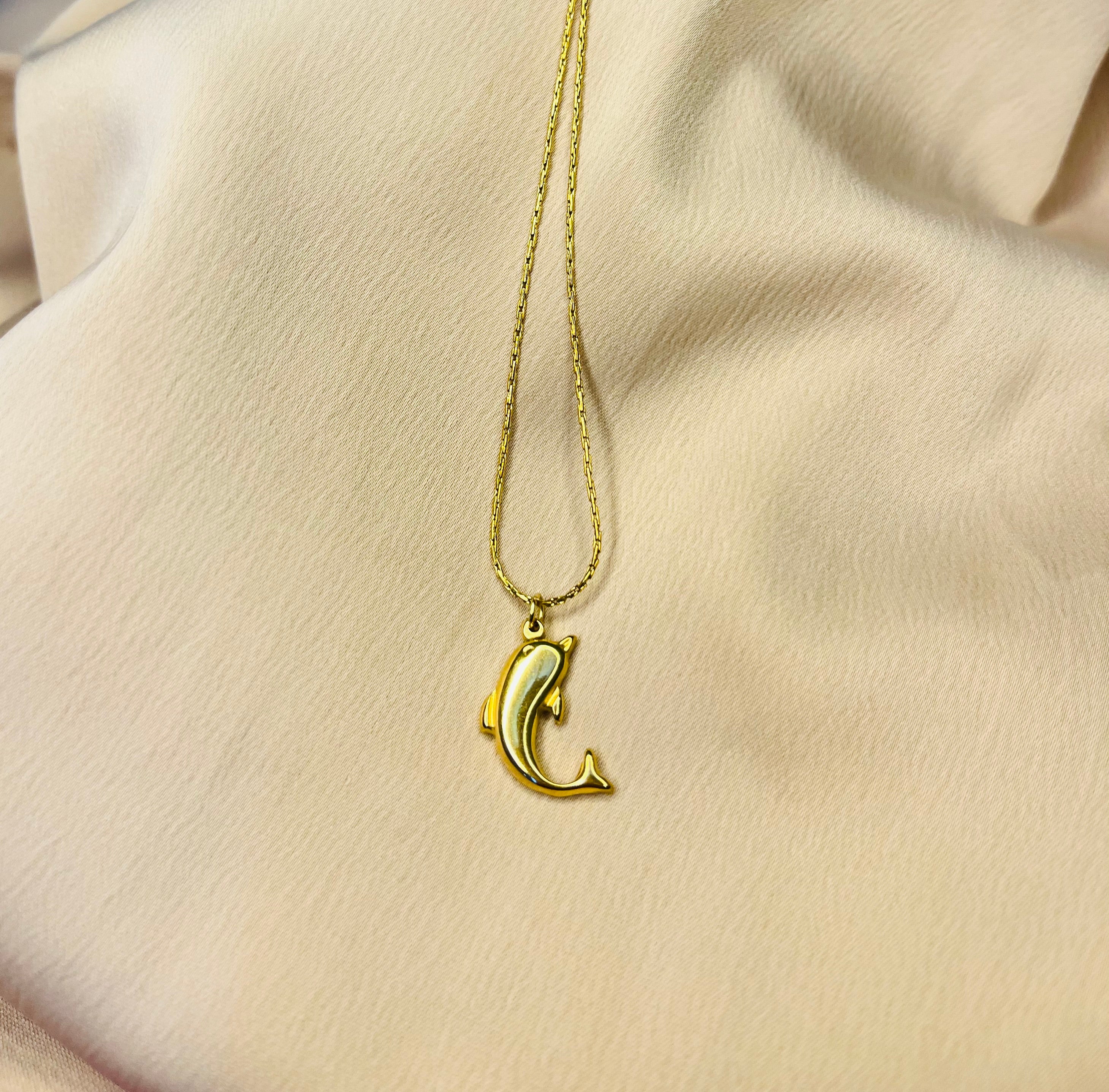 The dolphin wave