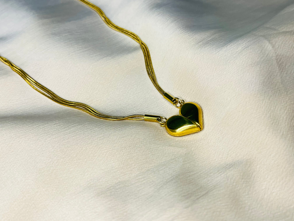 The magnetic heart