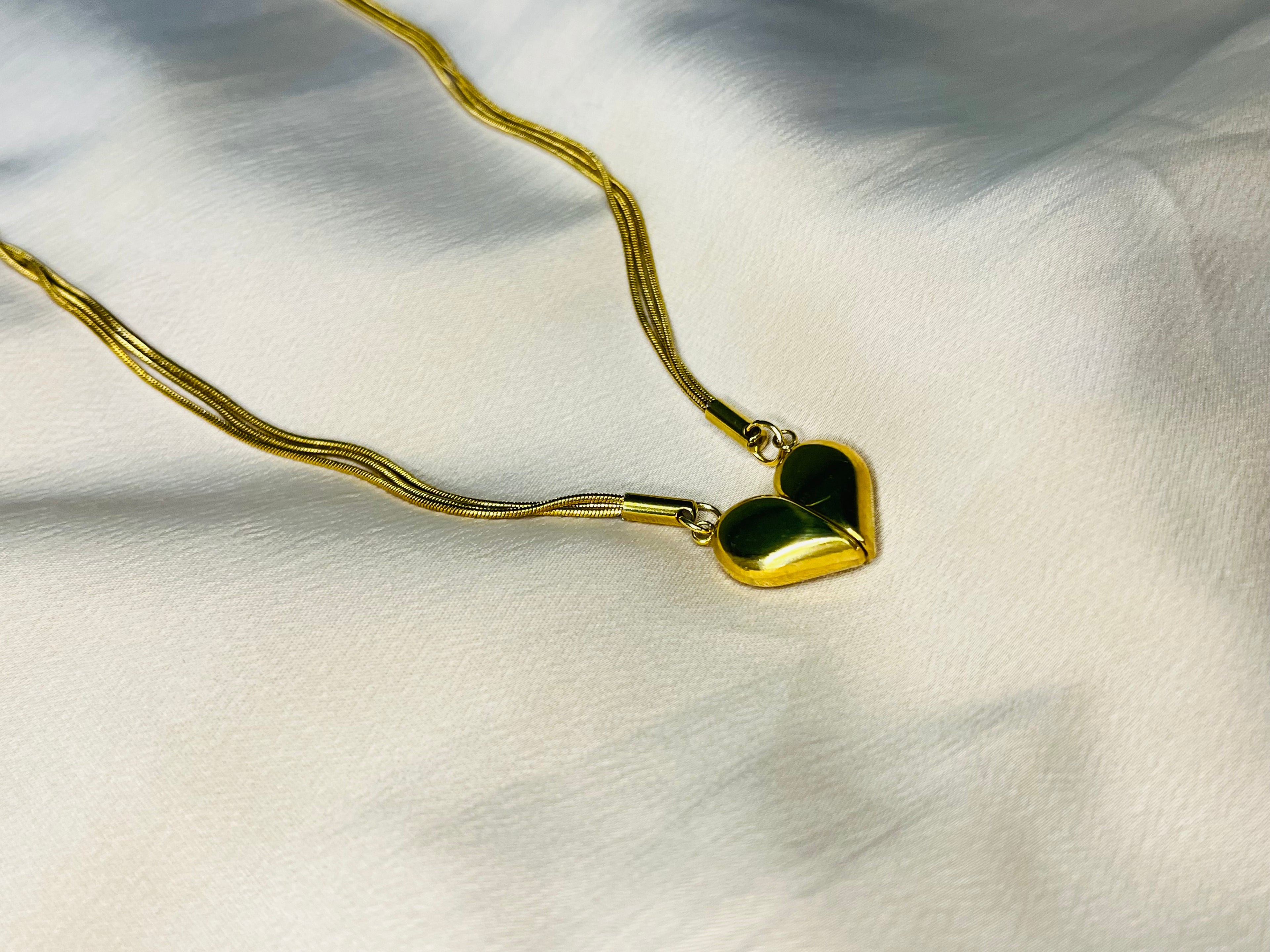 The magnetic heart
